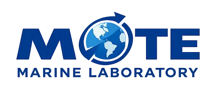logo8